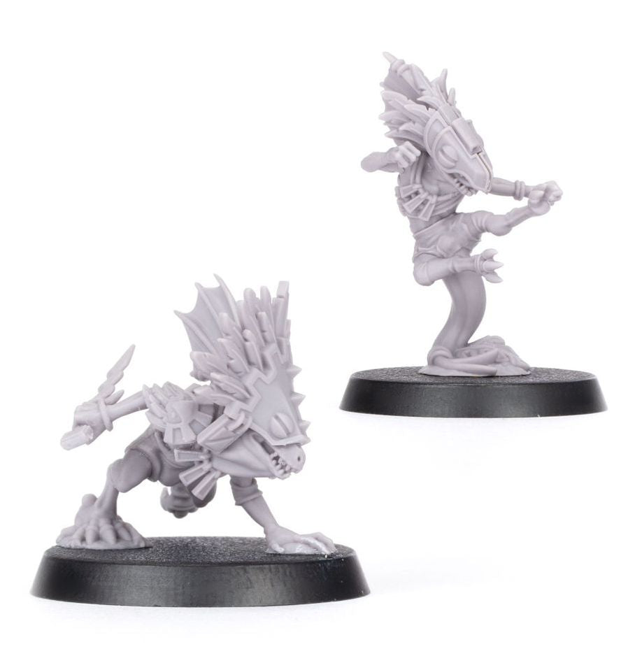 Blood Bowl: Dribl & Drull