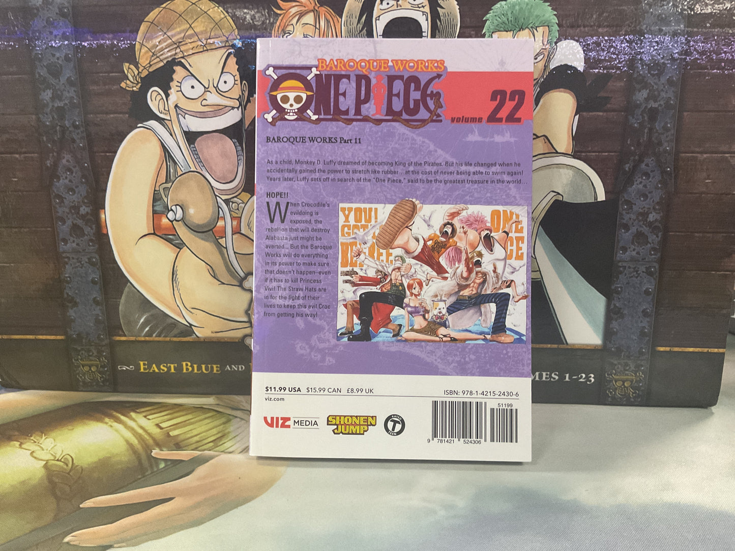 One Piece Vol. 22