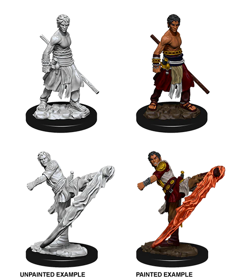 D&D Nolzur's Marvelous Miniatures - Male Half-Elf Monk