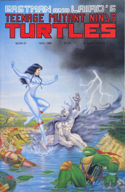 Teenage Mutant Ninja Turtles #27