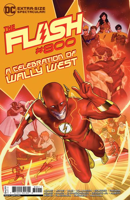Flash #800A