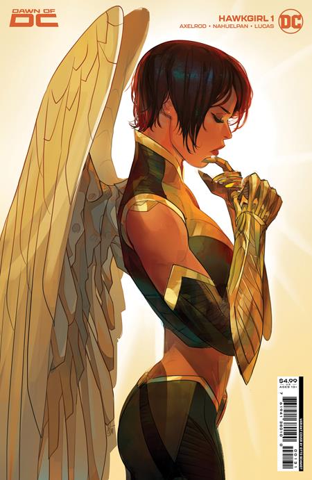 HAWKGIRL #1C (OF 6) SCHMIDT VARIANT