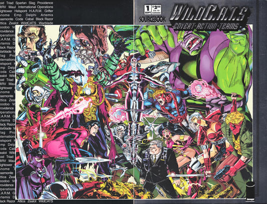 Wildcats: Sourcebook #1