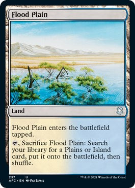 Flood Plain [AFC - 237]