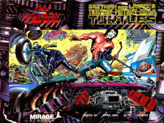 Teenage Mutant Ninja Turtles #30