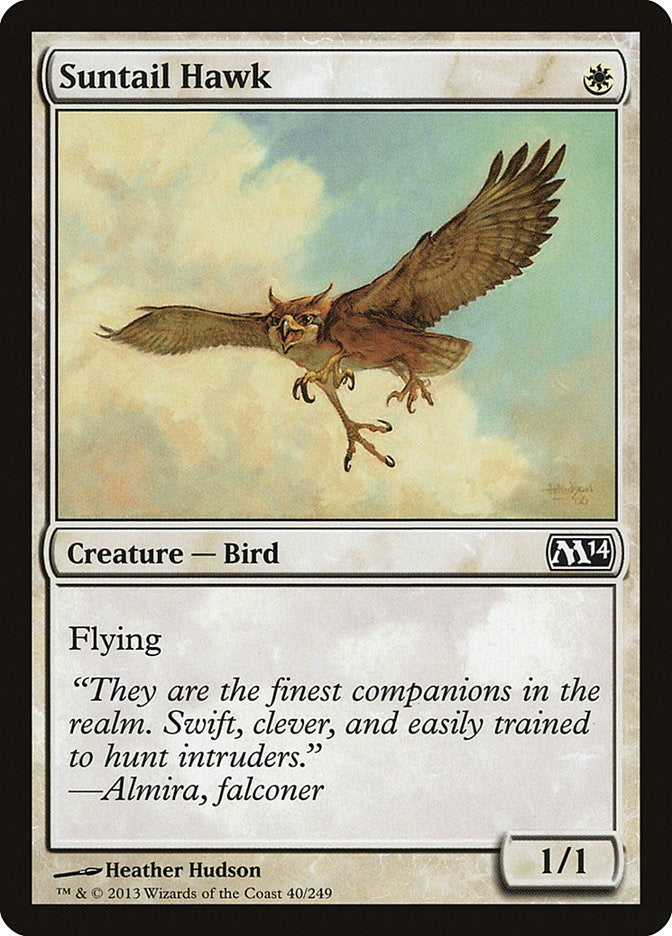 Suntail Hawk [M14 - 40]