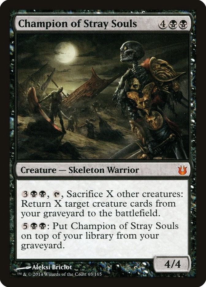 Champion of Stray Souls [BNG - 63]