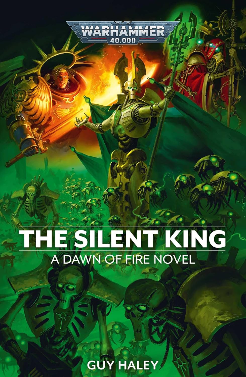 Dawn of Fire: The Silent King (Paperback)