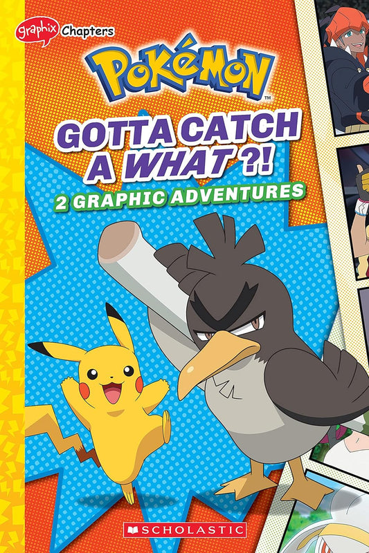 Pokemon Graphic Collection GN Gotta Catch a What?
