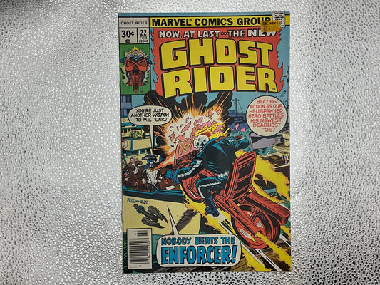 Ghost Rider #22