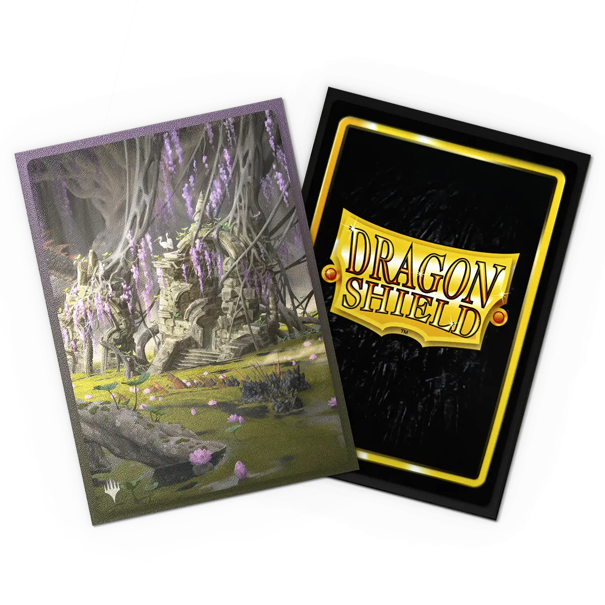 Dragon Shield Landfall Series - Matte Dual Art Sleeves