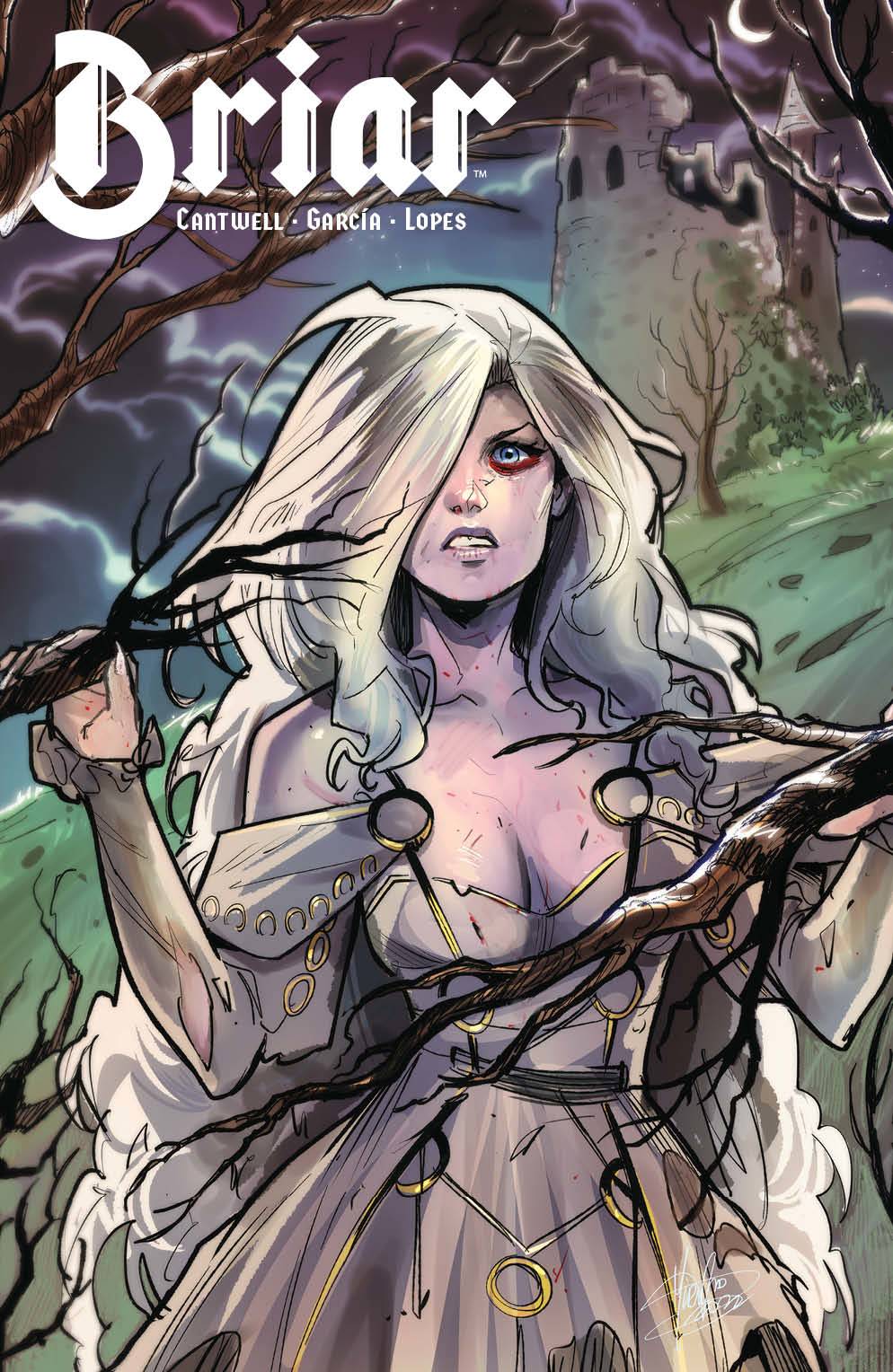 Briar #1 (of 4) Andolfo Variant