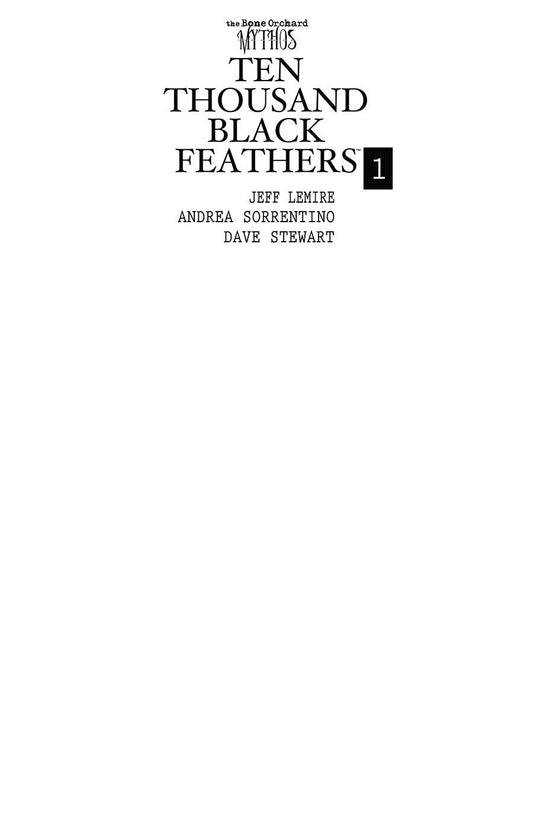 Bone Orchard Black Feathers #1 Blank Variant (MR)
