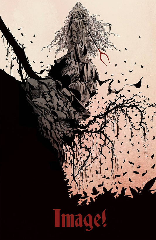 Image 30th Anniversary Anthology #11A (of 12) (MR)