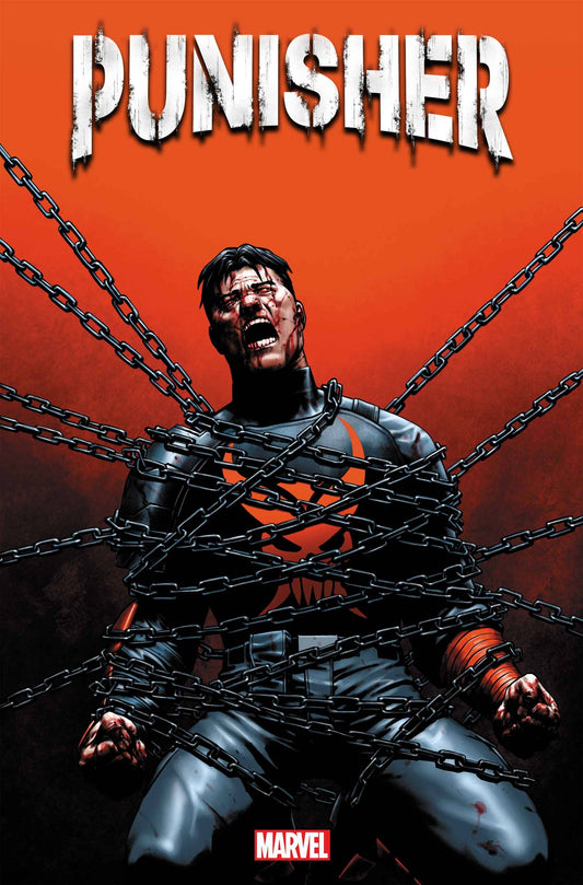 Punisher #12A
