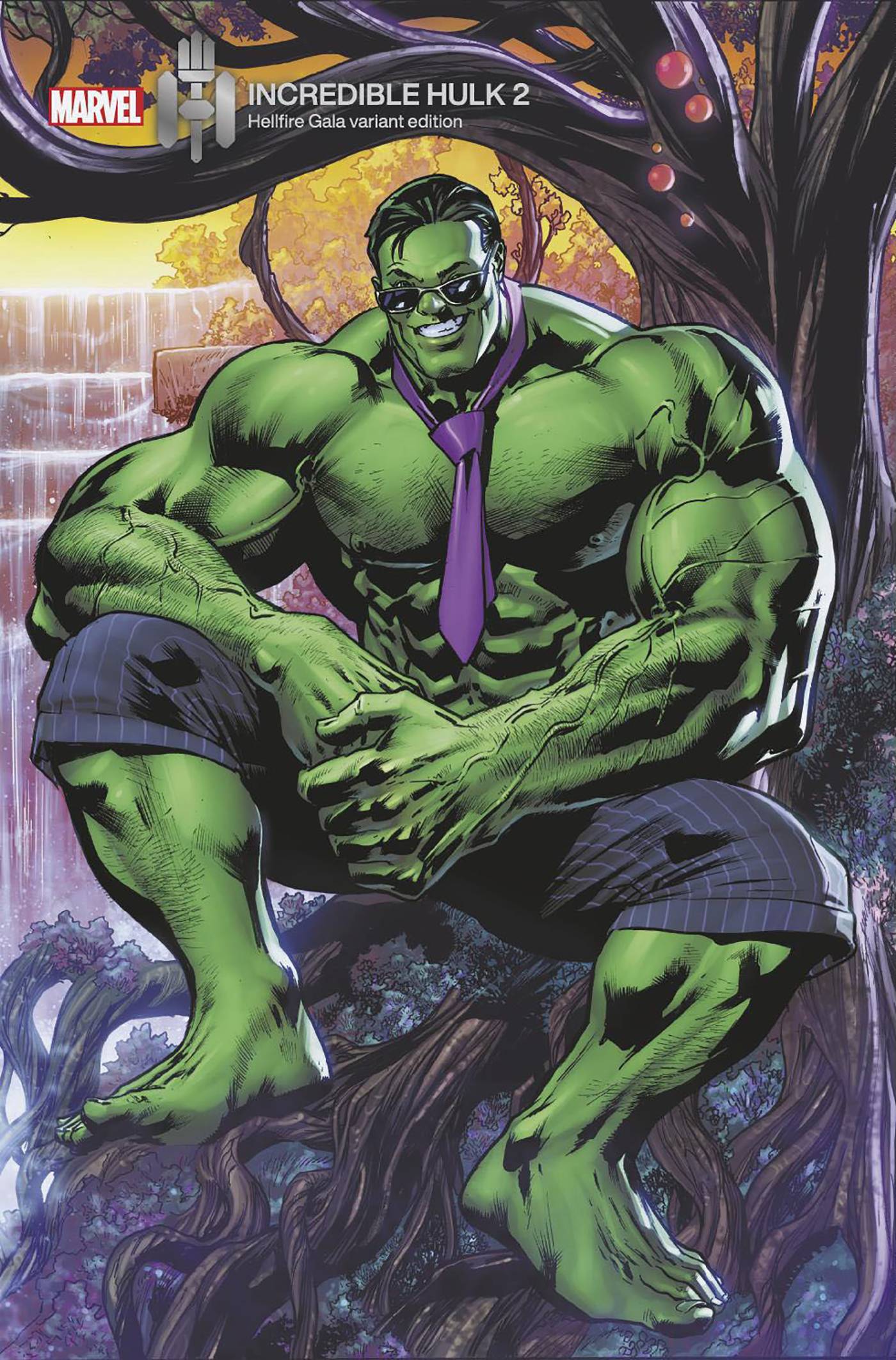 INCREDIBLE HULK #2B HITCH VARIANT