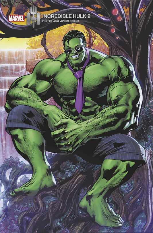 INCREDIBLE HULK #2B HITCH VARIANT