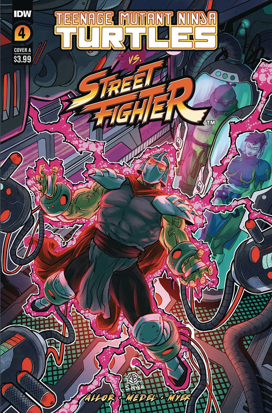 TMNT VS. STREET FIGHTER #4A (OF 5)