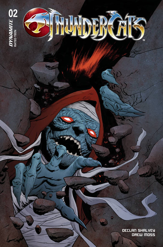 THUNDERCATS #2D LEE & CHUNG VAR
