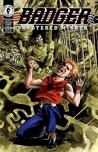Badger Shattered Mirror #3