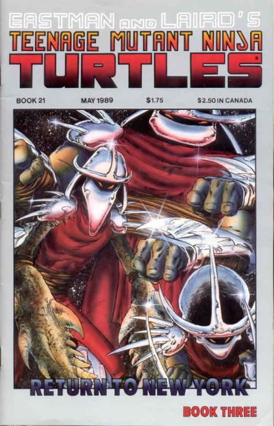 Teenage Mutant Ninja Turtles #21