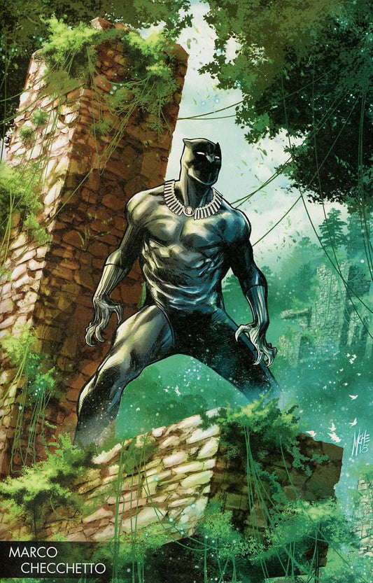 Black Panther #170 Checchetto Variant