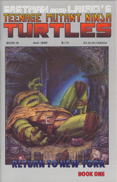 Teenage Mutant Ninja Turtles #19