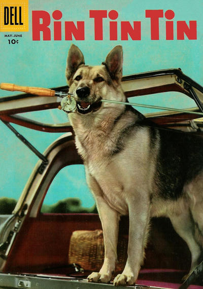 Rin Tin Tin #13