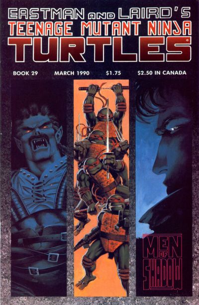 Teenage Mutant Ninja Turtles #29
